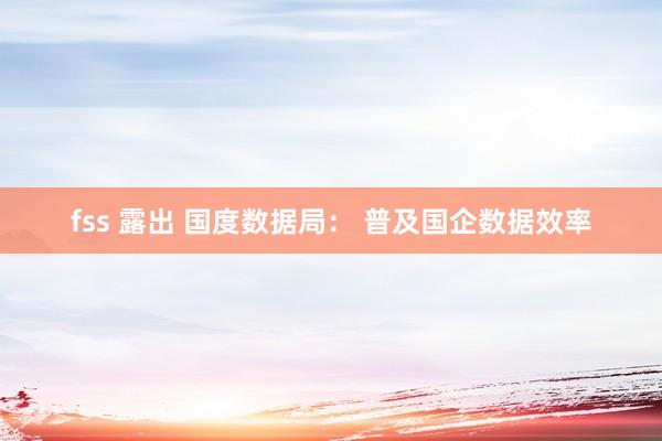 fss 露出 国度数据局： 普及国企数据效率