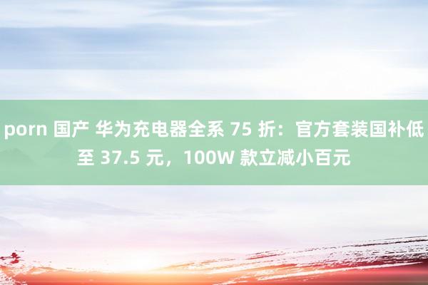 porn 国产 华为充电器全系 75 折：官方套装国补低至 37.5 元，100W 款立减小百元