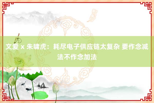 文爱 x 朱啸虎：耗尽电子供应链太复杂 要作念减法不作念加法
