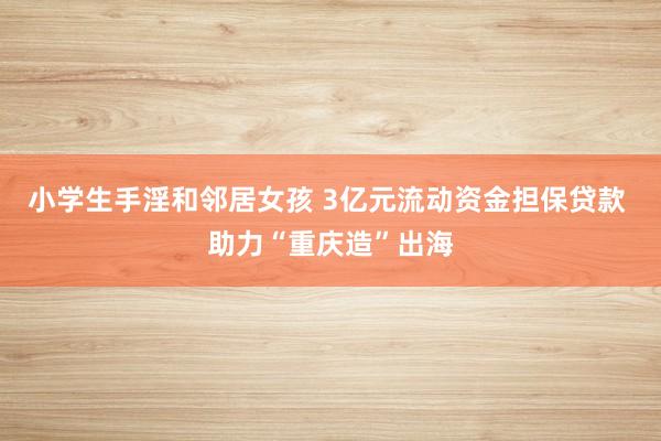 小学生手淫和邻居女孩 3亿元流动资金担保贷款 助力“重庆造”出海