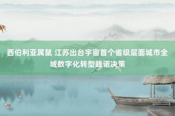 西伯利亚属鼠 江苏出台宇宙首个省级层面城市全域数字化转型践诺决策