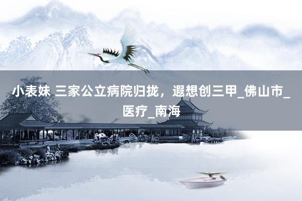 小表妹 三家公立病院归拢，遐想创三甲_佛山市_医疗_南海
