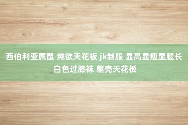 西伯利亚属鼠 纯欲天花板 jk制服 显高显瘦显腿长 白色过膝袜 躯壳天花板