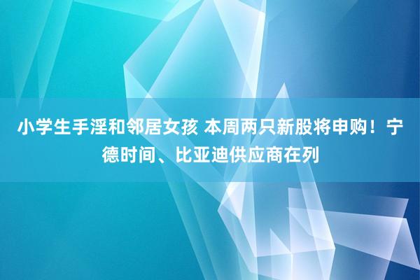 小学生手淫和邻居女孩 本周两只新股将申购！宁德时间、比亚迪供应商在列