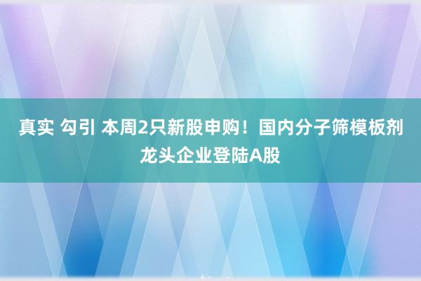 真实 勾引 本周2只新股申购！国内分子筛模板剂龙头企业登陆A股