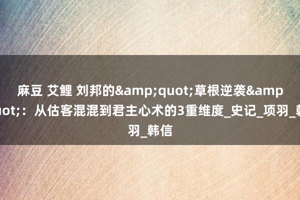 麻豆 艾鲤 刘邦的&quot;草根逆袭&quot;：从估客混混到君主心术的3重维度_史记_项羽_韩信