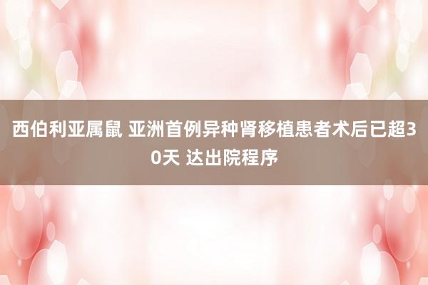 西伯利亚属鼠 亚洲首例异种肾移植患者术后已超30天 达出院程序