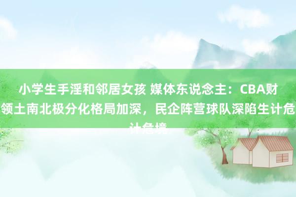 小学生手淫和邻居女孩 媒体东说念主：CBA财务领土南北极分化格局加深，民企阵营球队深陷生计危境