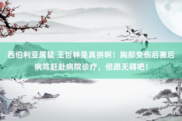 西伯利亚属鼠 王哲林是真拼啊！胸部受伤后赛后病笃赶赴病院诊疗，但愿无碍吧！
