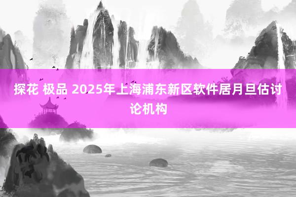 探花 极品 2025年上海浦东新区软件居月旦估讨论机构