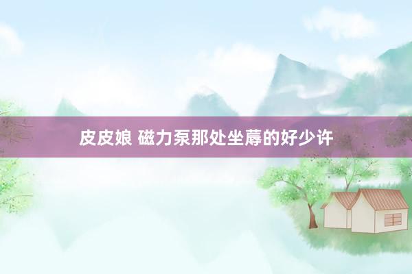 皮皮娘 磁力泵那处坐蓐的好少许