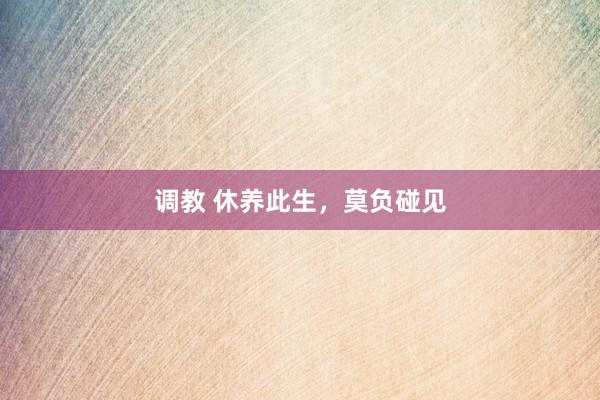 调教 休养此生，莫负碰见