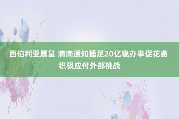 西伯利亚属鼠 滴滴通知插足20亿稳办事促花费 积极应付外部挑战