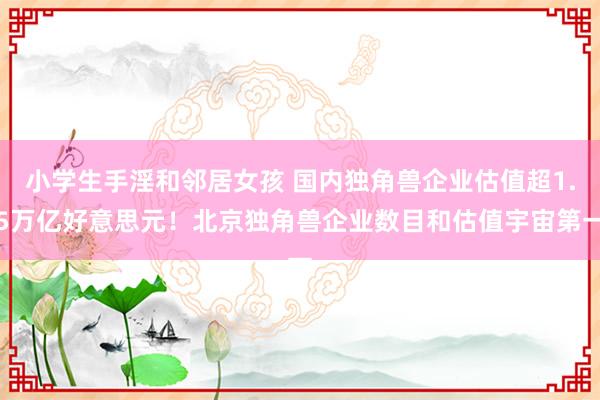 小学生手淫和邻居女孩 国内独角兽企业估值超1.5万亿好意思元！北京独角兽企业数目和估值宇宙第一