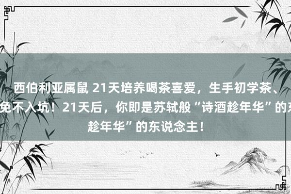 西伯利亚属鼠 21天培养喝茶喜爱，生手初学茶、茶具，幸免不入坑！21天后，你即是苏轼般“诗酒趁年华”的东说念主！