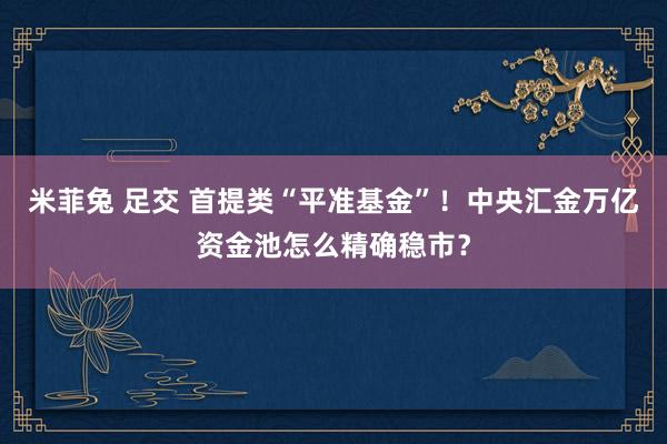 米菲兔 足交 首提类“平准基金”！中央汇金万亿资金池怎么精确稳市？