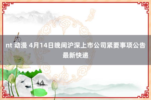 nt 动漫 4月14日晚间沪深上市公司紧要事项公告最新快递