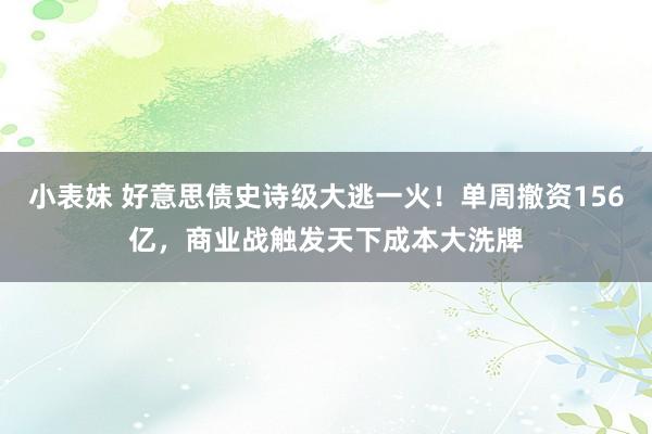 小表妹 好意思债史诗级大逃一火！单周撤资156亿，商业战触发天下成本大洗牌