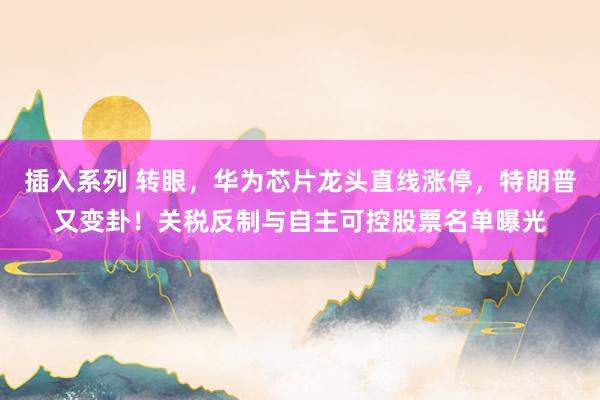 插入系列 转眼，华为芯片龙头直线涨停，特朗普又变卦！关税反制与自主可控股票名单曝光