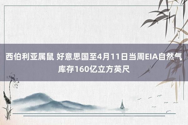 西伯利亚属鼠 好意思国至4月11日当周EIA自然气库存160亿立方英尺