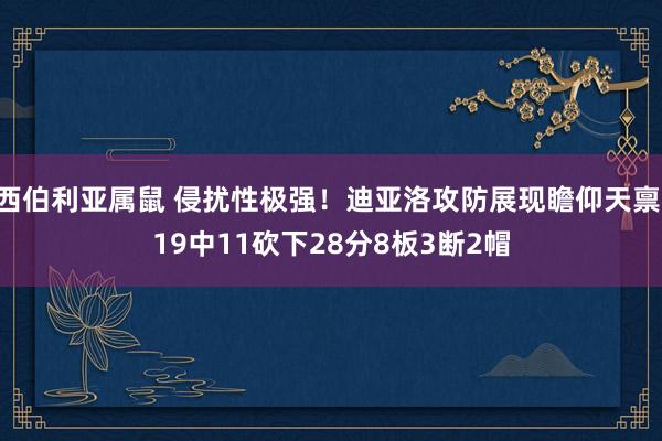 西伯利亚属鼠 侵扰性极强！迪亚洛攻防展现瞻仰天禀 19中11砍下28分8板3断2帽