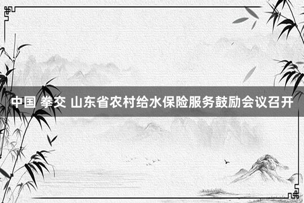 中国 拳交 山东省农村给水保险服务鼓励会议召开
