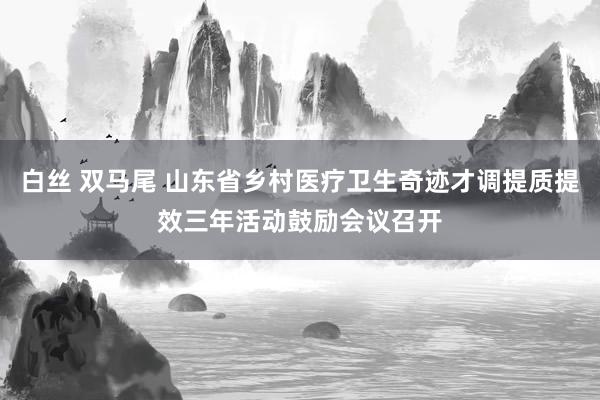 白丝 双马尾 山东省乡村医疗卫生奇迹才调提质提效三年活动鼓励会议召开