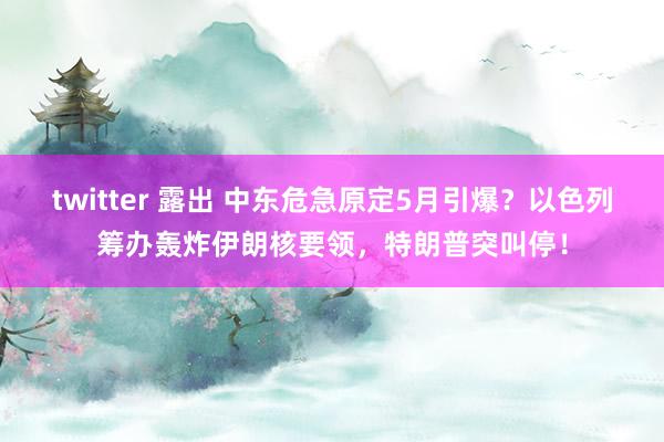 twitter 露出 中东危急原定5月引爆？以色列筹办轰炸伊朗核要领，特朗普突叫停！