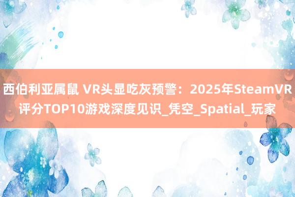 西伯利亚属鼠 VR头显吃灰预警：2025年SteamVR评分TOP10游戏深度见识_凭空_Spatial_玩家
