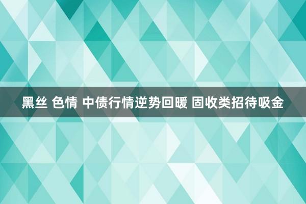 黑丝 色情 中债行情逆势回暖 固收类招待吸金