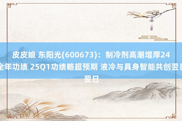 皮皮娘 东阳光(600673)：制冷剂高潮增厚24全年功绩 25Q1功绩略超预期 液冷与具身智能共创翌日