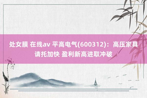 处女膜 在线av 平高电气(600312)：高压家具请托加快 盈利新高进取冲破