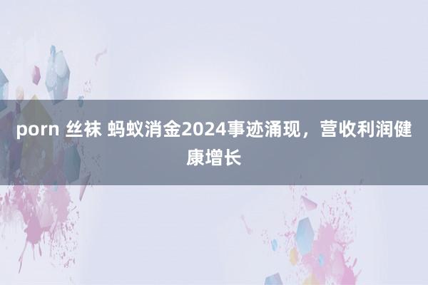 porn 丝袜 蚂蚁消金2024事迹涌现，营收利润健康增长