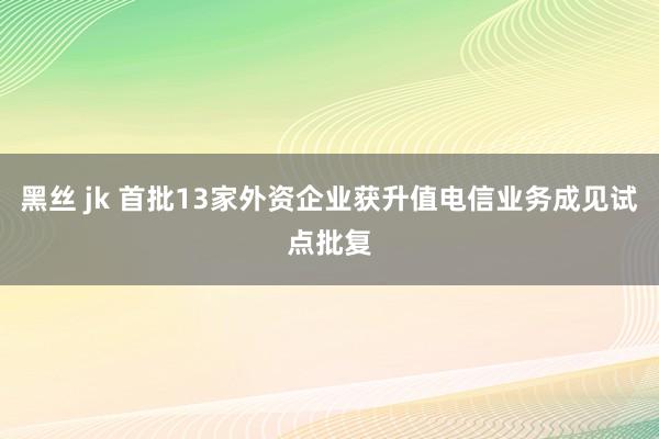黑丝 jk 首批13家外资企业获升值电信业务成见试点批复