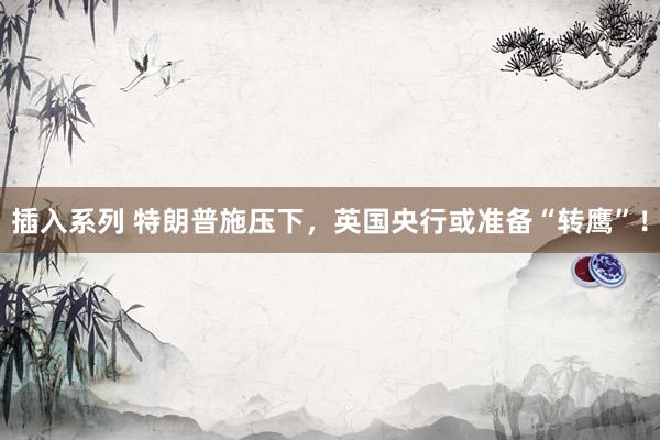 插入系列 特朗普施压下，英国央行或准备“转鹰”！