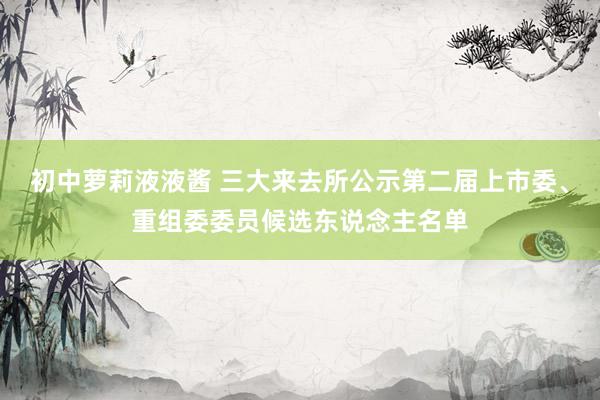 初中萝莉液液酱 三大来去所公示第二届上市委、重组委委员候选东说念主名单