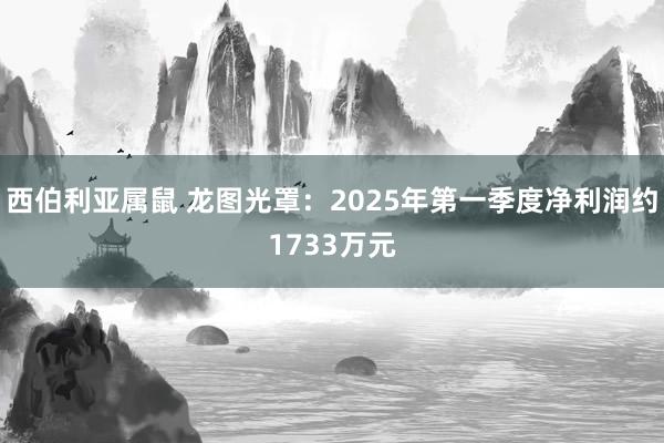 西伯利亚属鼠 龙图光罩：2025年第一季度净利润约1733万元