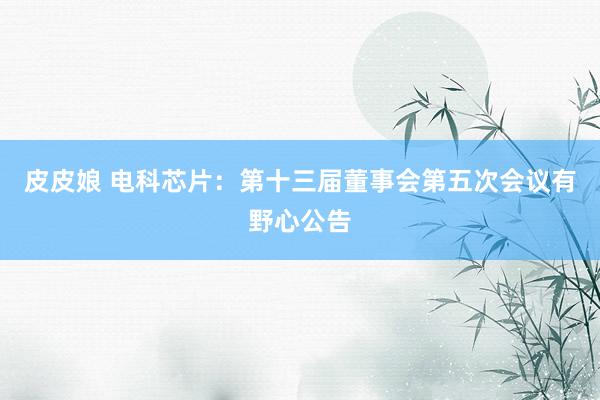 皮皮娘 电科芯片：第十三届董事会第五次会议有野心公告