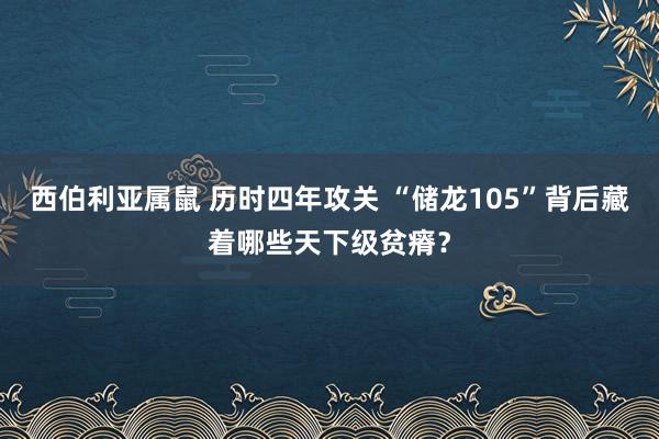 西伯利亚属鼠 历时四年攻关 “储龙105”背后藏着哪些天下级贫瘠？