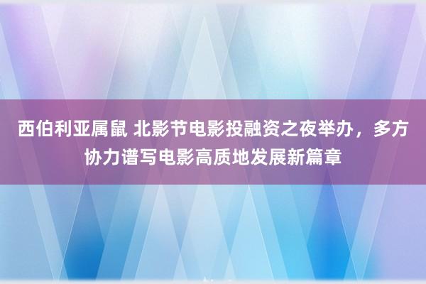 西伯利亚属鼠 北影节电影投融资之夜举办，多方协力谱写电影高质地发展新篇章