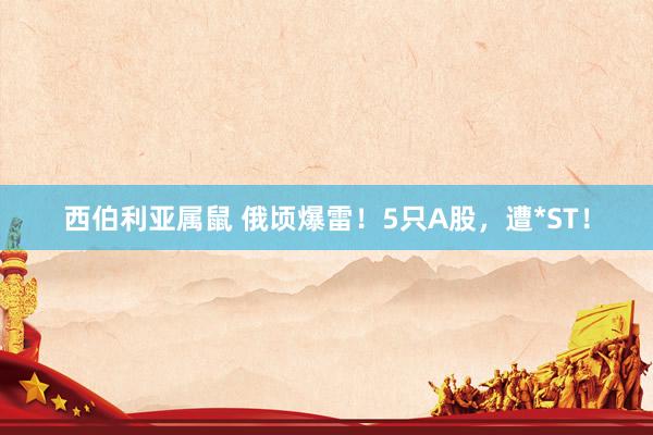 西伯利亚属鼠 俄顷爆雷！5只A股，遭*ST！