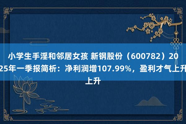 小学生手淫和邻居女孩 新钢股份（600782）2025年一季报简析：净利润增107.99%，盈利才气上升