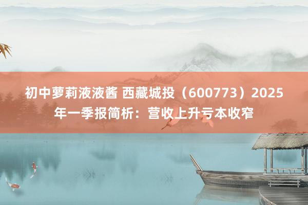 初中萝莉液液酱 西藏城投（600773）2025年一季报简析：营收上升亏本收窄