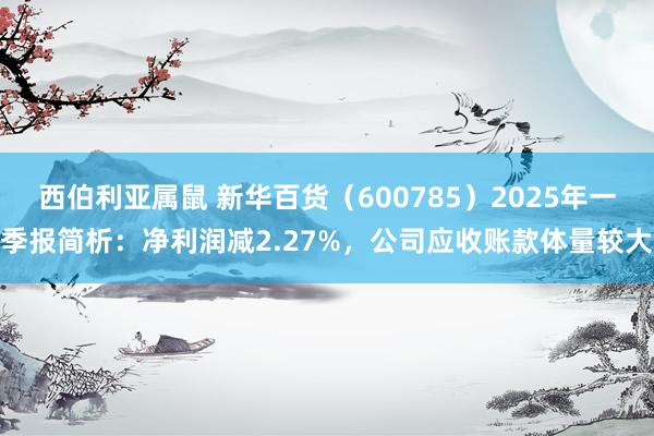 西伯利亚属鼠 新华百货（600785）2025年一季报简析：净利润减2.27%，公司应收账款体量较大