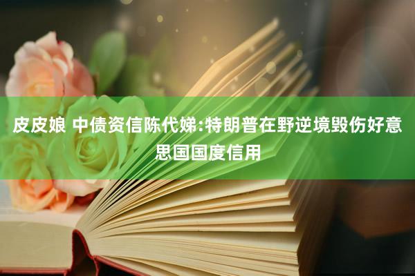 皮皮娘 中债资信陈代娣:特朗普在野逆境毁伤好意思国国度信用